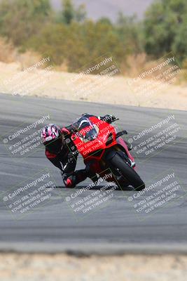 media/Apr-10-2022-SoCal Trackdays (Sun) [[f104b12566]]/Turn 10 (1pm)/